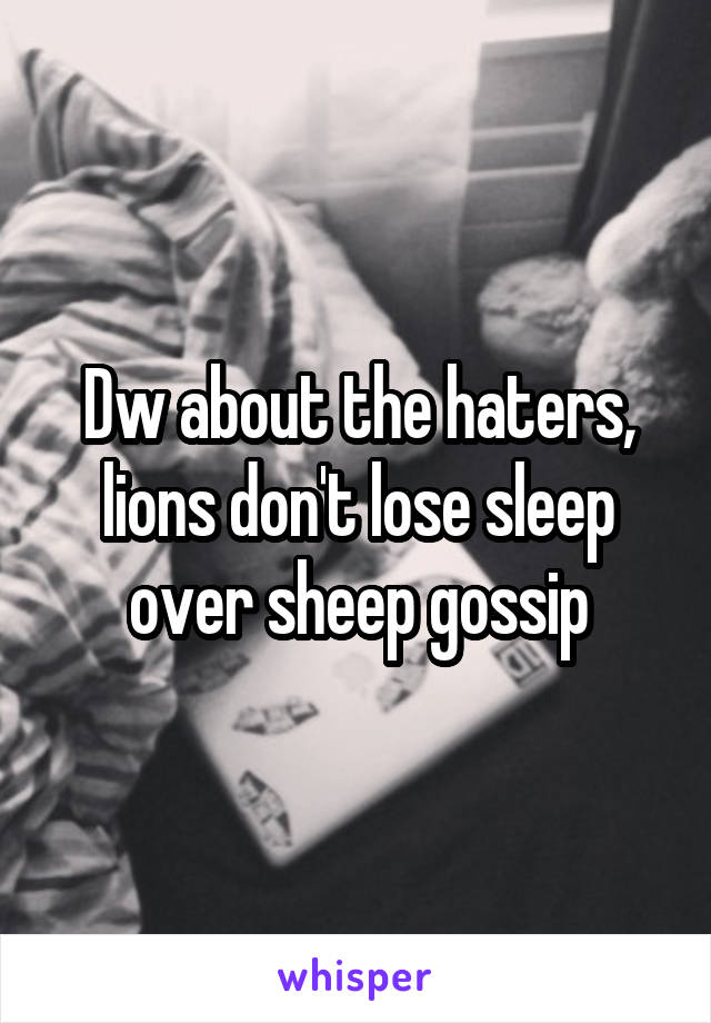 Dw about the haters, lions don't lose sleep over sheep gossip