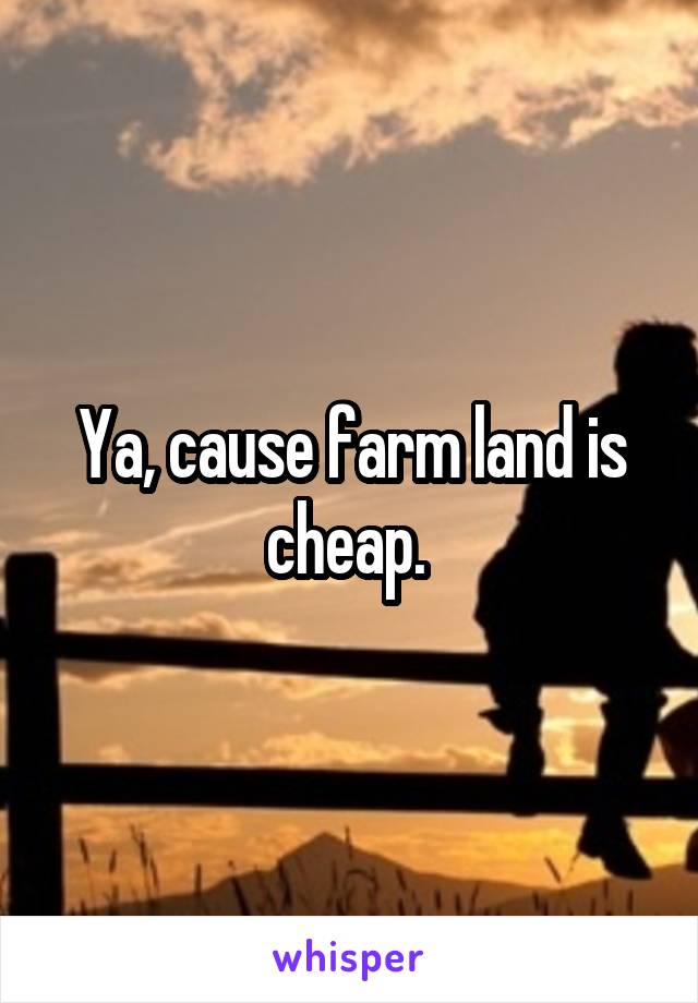 Ya, cause farm land is cheap. 
