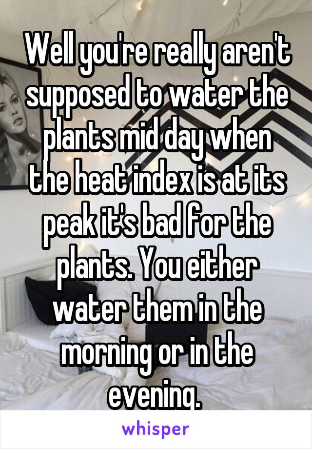 Well you're really aren't supposed to water the plants mid day when the heat index is at its peak it's bad for the plants. You either water them in the morning or in the evening. 