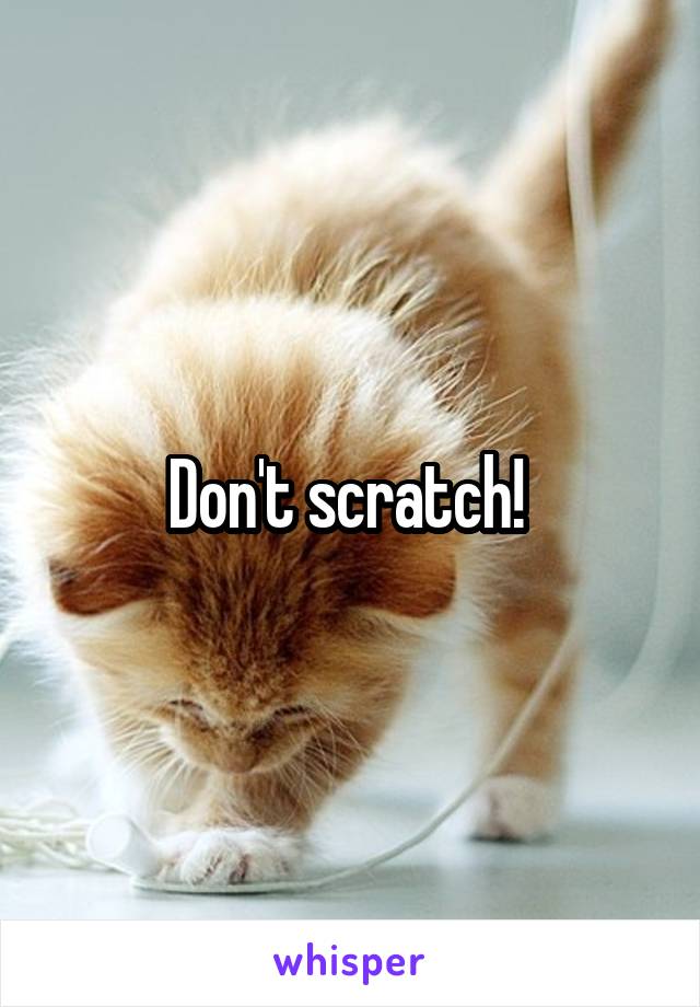 Don't scratch! 