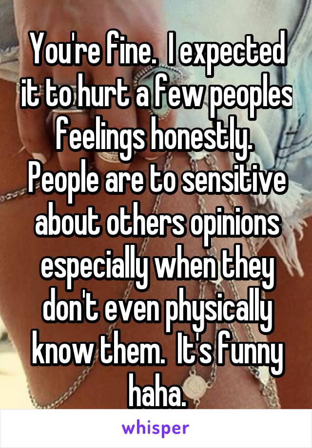 You're fine.  I expected it to hurt a few peoples feelings honestly.  People are to sensitive about others opinions especially when they don't even physically know them.  It's funny haha.