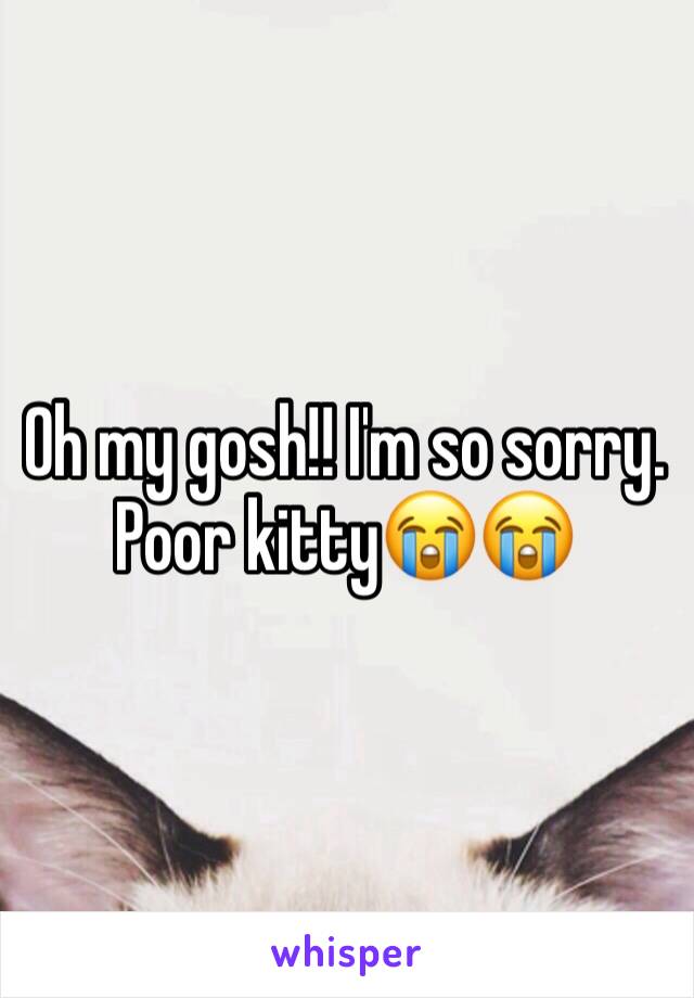 Oh my gosh!! I'm so sorry. Poor kitty😭😭