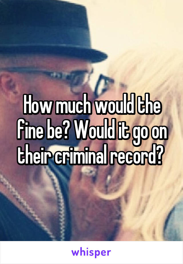 How much would the fine be? Would it go on their criminal record? 