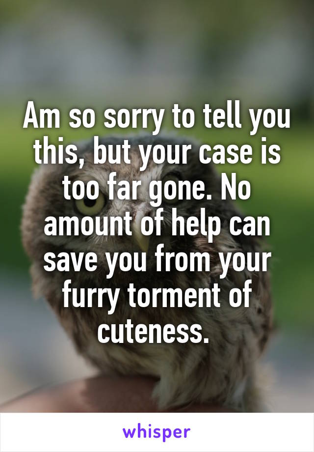 Am so sorry to tell you this, but your case is too far gone. No amount of help can save you from your furry torment of cuteness. 