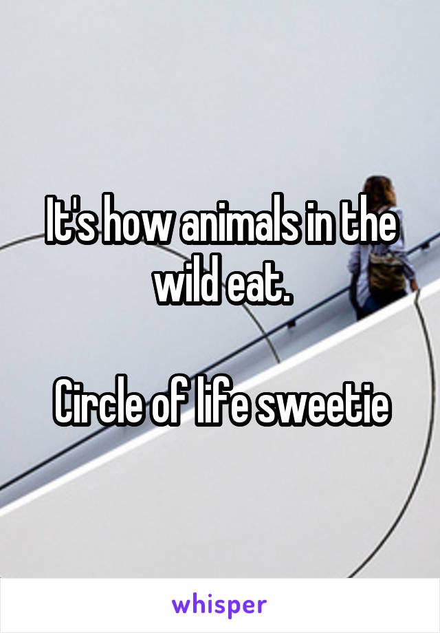 It's how animals in the wild eat.

Circle of life sweetie
