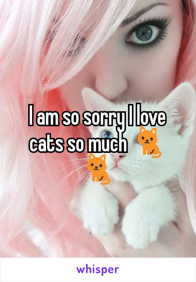 I am so sorry I love cats so much 🐈 🐈