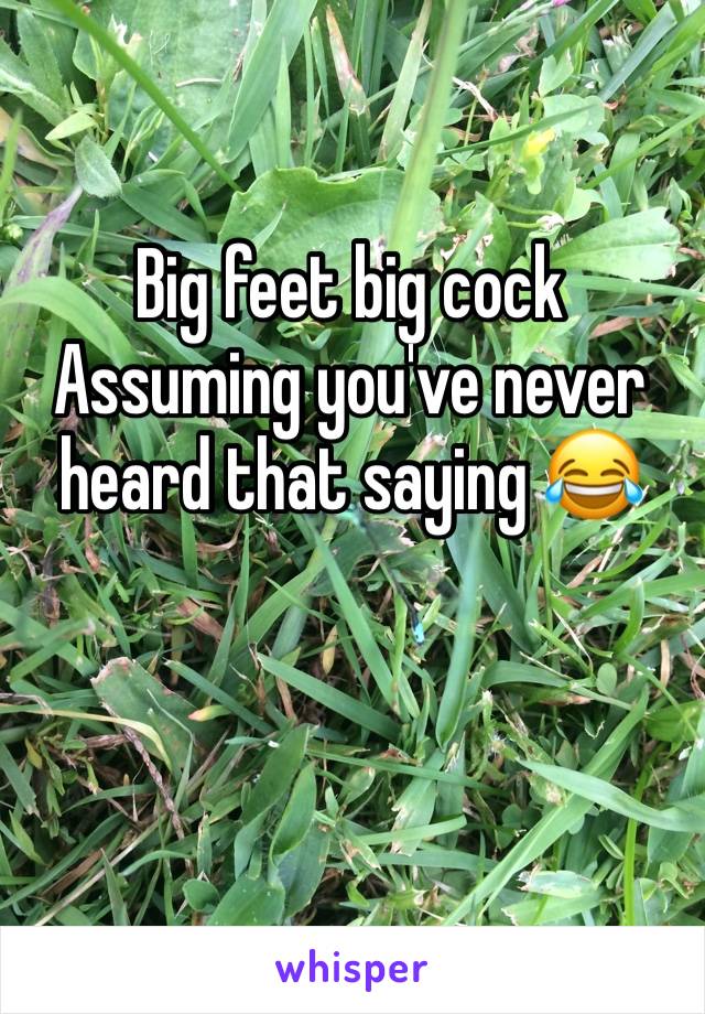 Big feet big cock
Assuming you've never heard that saying 😂 