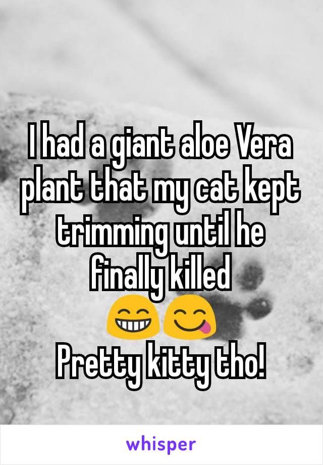 I had a giant aloe Vera plant that my cat kept trimming until he finally killed
😁😋
Pretty kitty tho!