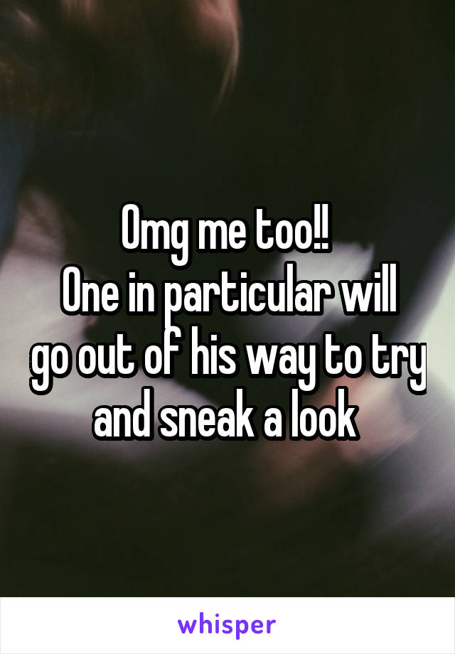 Omg me too!! 
One in particular will go out of his way to try and sneak a look 