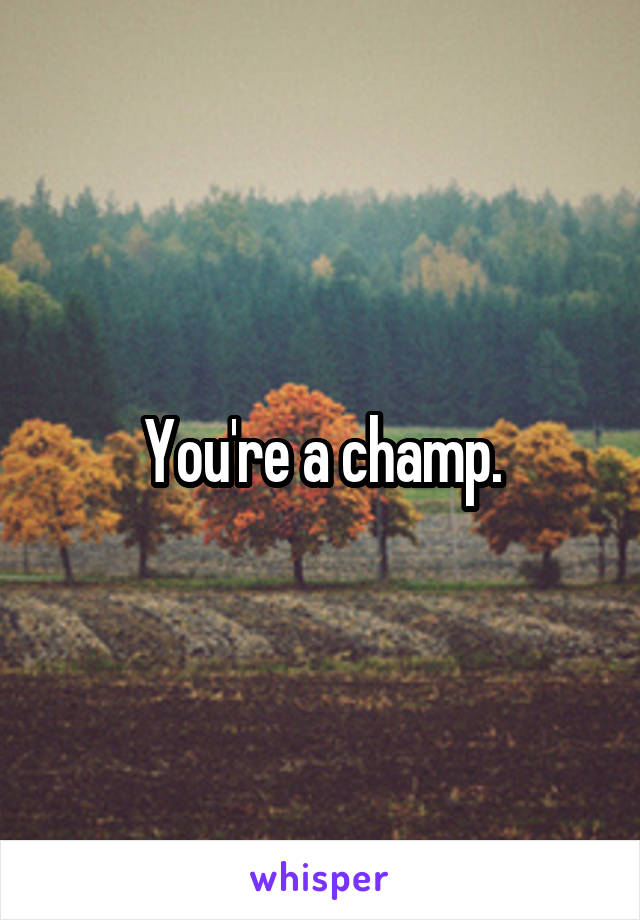 You're a champ.
