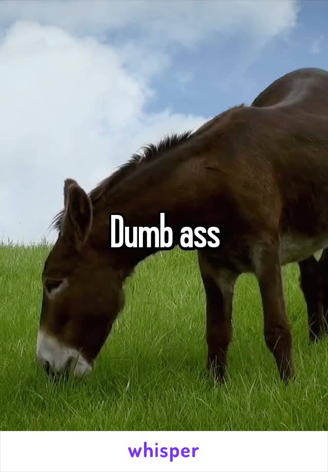 Dumb ass