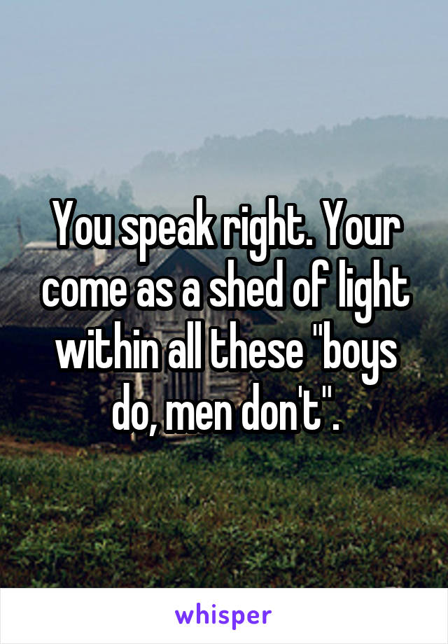 You speak right. Your come as a shed of light within all these "boys do, men don't".