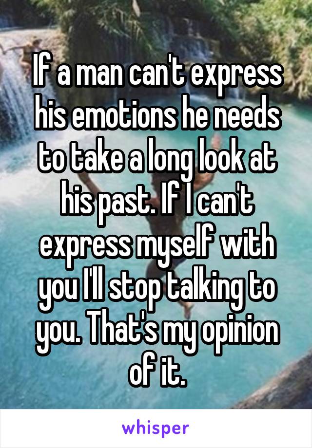 If a man can't express his emotions he needs to take a long look at his past. If I can't express myself with you I'll stop talking to you. That's my opinion of it.