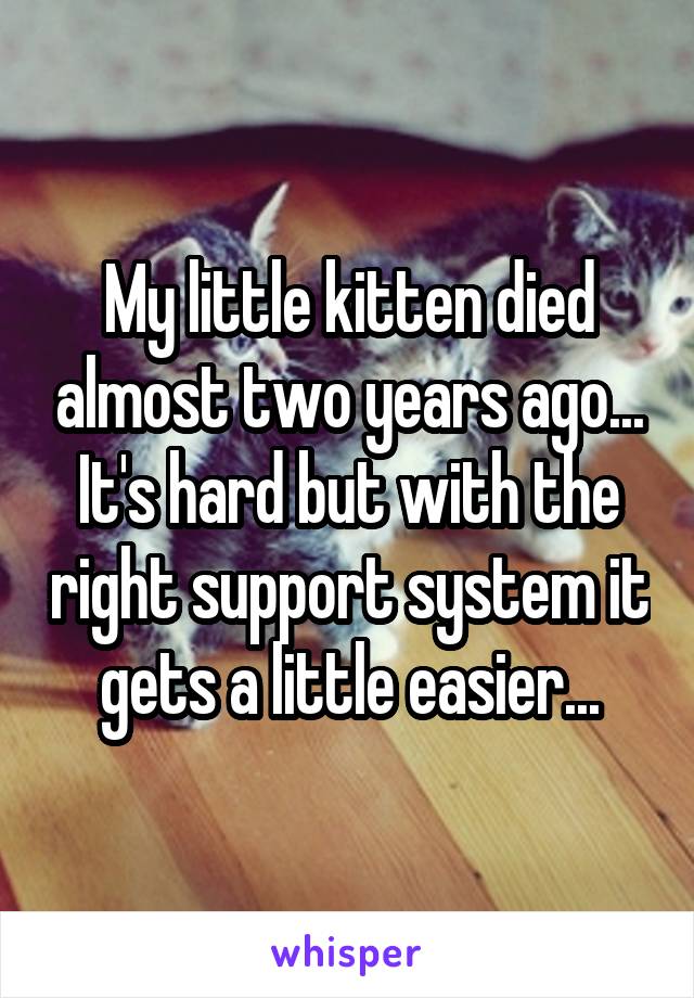 My little kitten died almost two years ago... It's hard but with the right support system it gets a little easier...