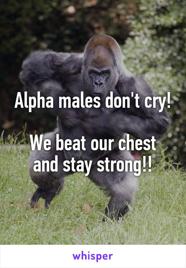 Alpha males don't cry!

We beat our chest and stay strong!!