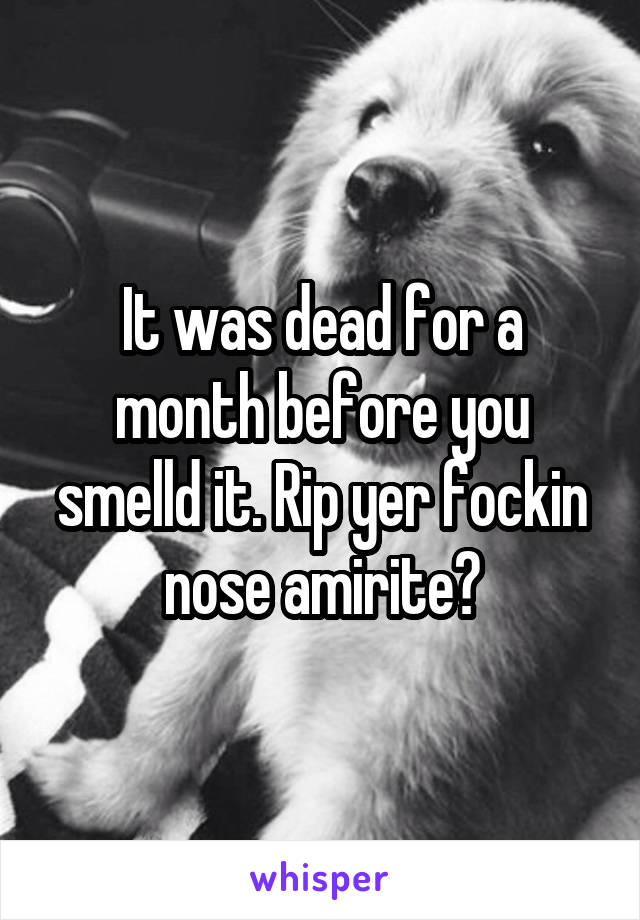 It was dead for a month before you smelld it. Rip yer fockin nose amirite?