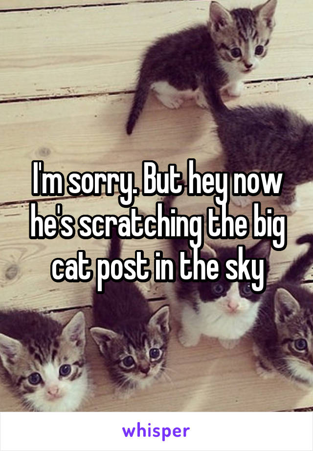I'm sorry. But hey now he's scratching the big cat post in the sky