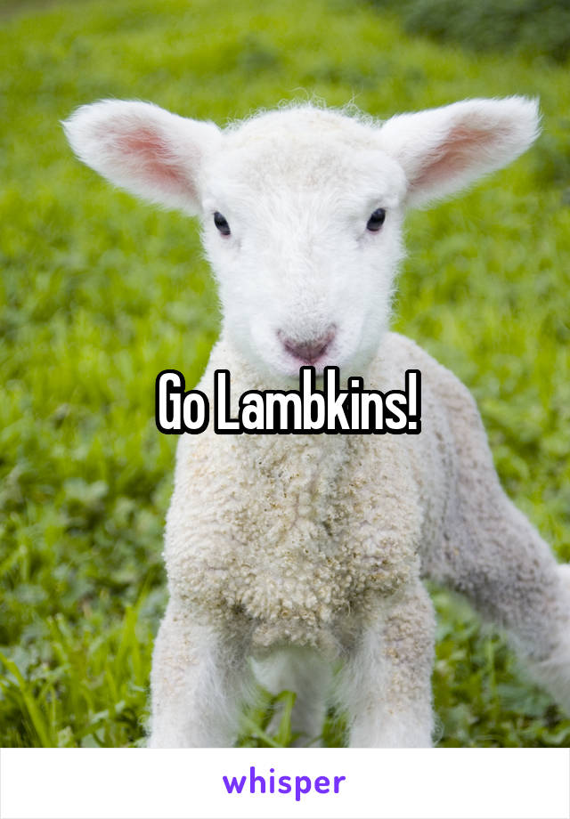 Go Lambkins!