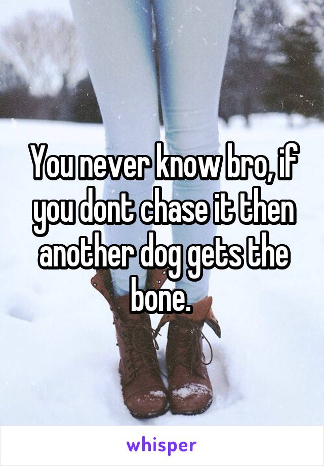 You never know bro, if you dont chase it then another dog gets the bone. 