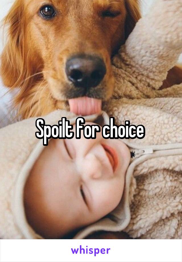 Spoilt for choice 