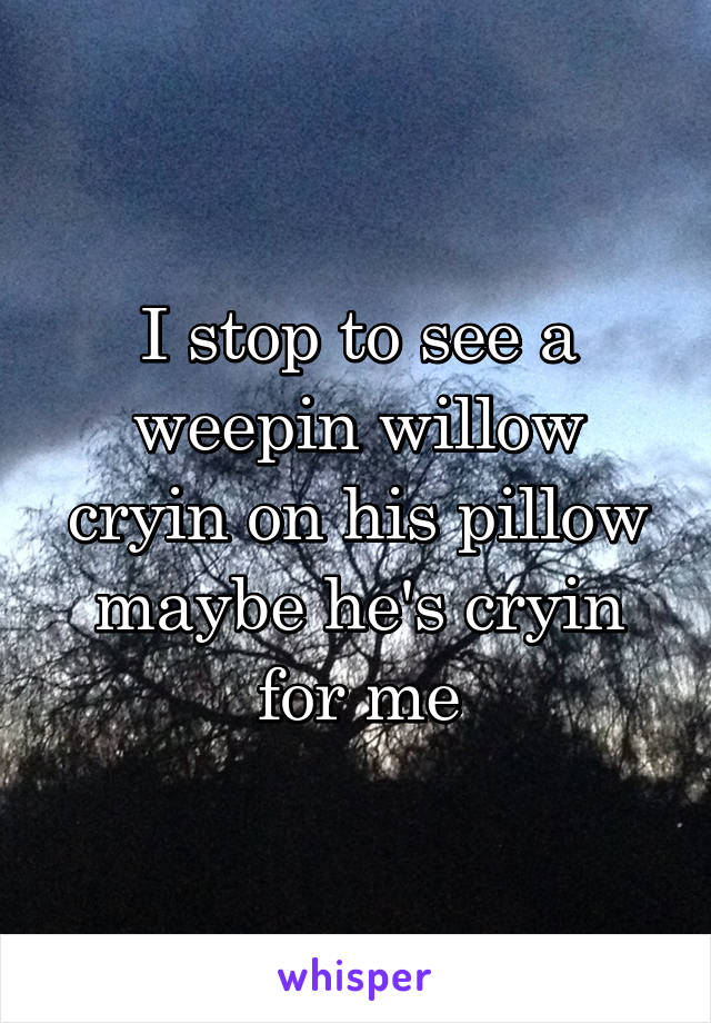 I stop to see a weepin willow
cryin on his pillow
maybe he's cryin for me