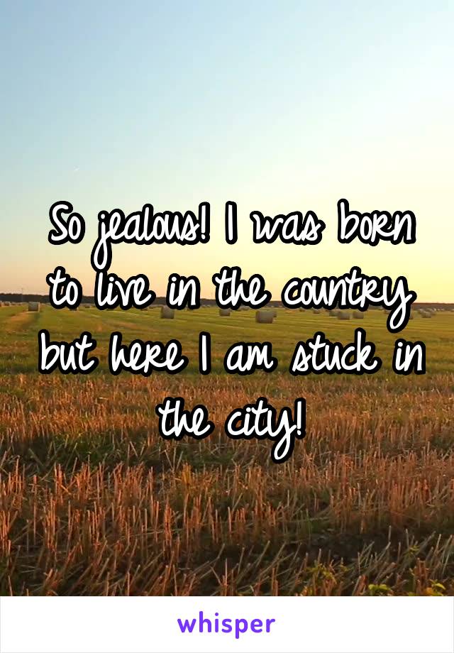 So jealous! I was born to live in the country but here I am stuck in the city!