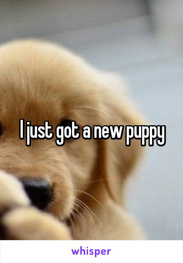 I just got a new puppy