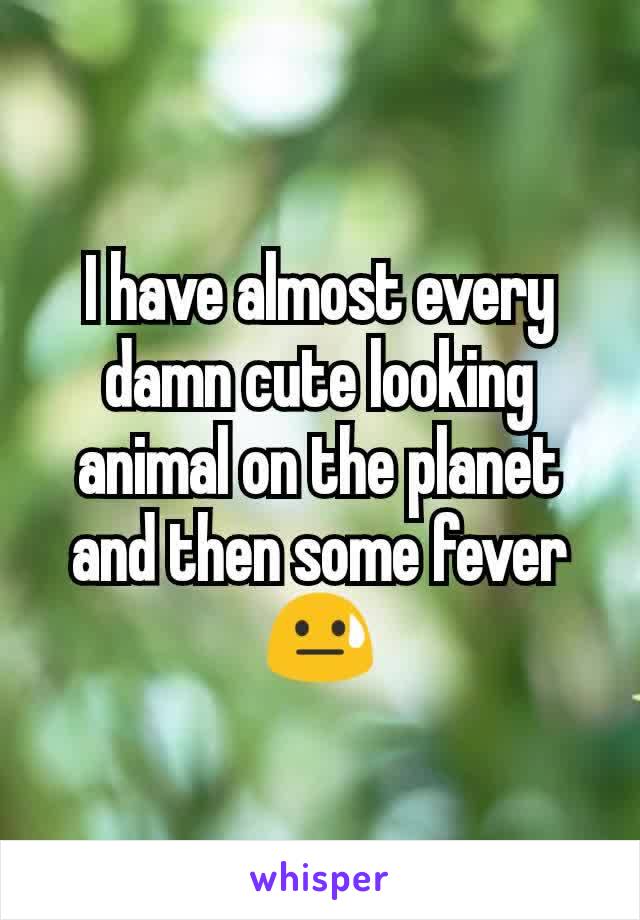 I have almost every damn cute looking animal on the planet and then some fever
😓