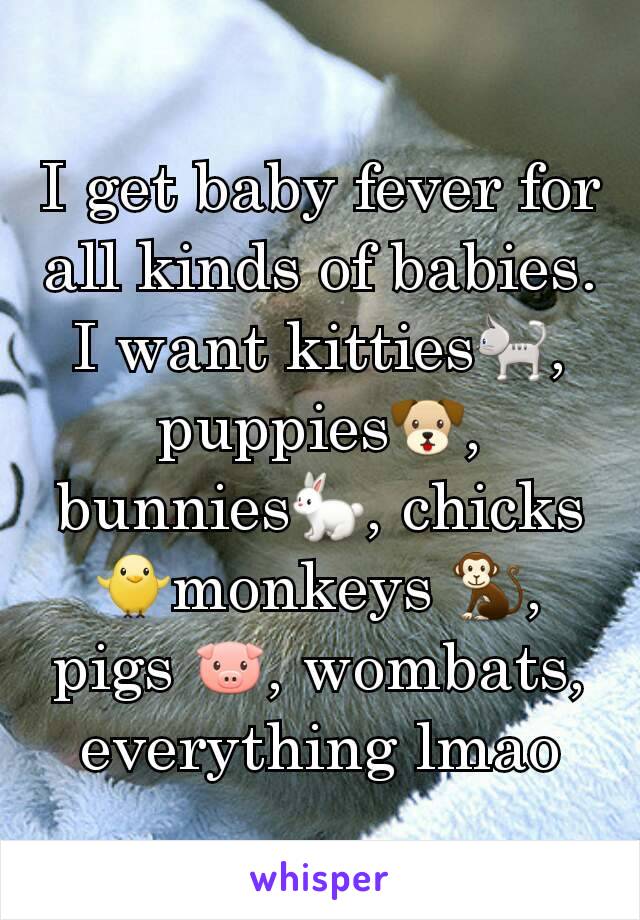 I get baby fever for all kinds of babies. I want kitties🐈, puppies🐶, bunnies🐇, chicks🐥monkeys 🐒, pigs 🐷, wombats, everything lmao