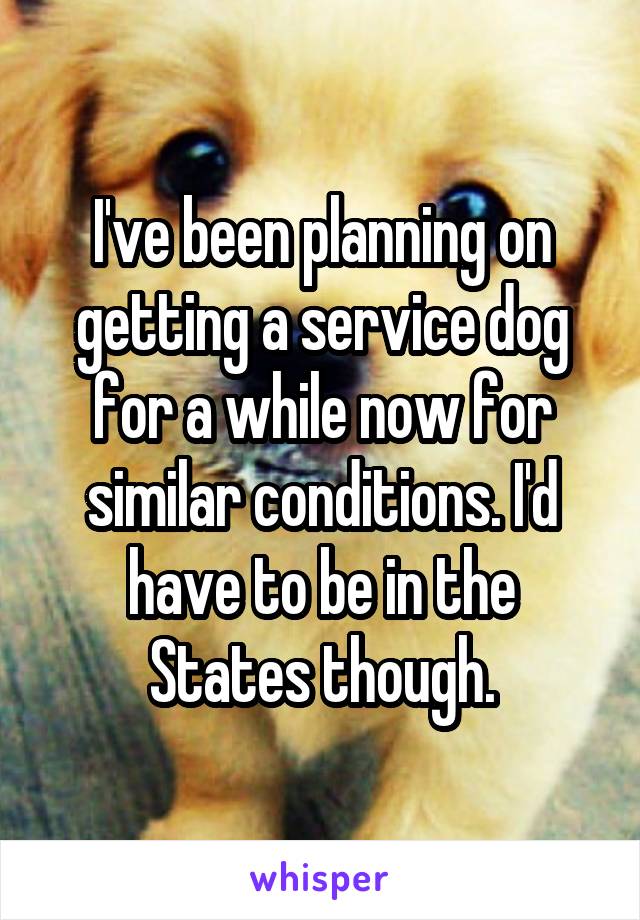 I've been planning on getting a service dog for a while now for similar conditions. I'd have to be in the States though.