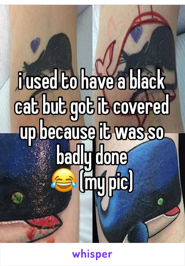 i used to have a black cat but got it covered up because it was so badly done
😂 (my pic)
