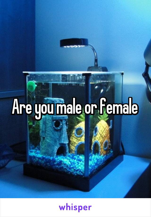 Are you male or female 