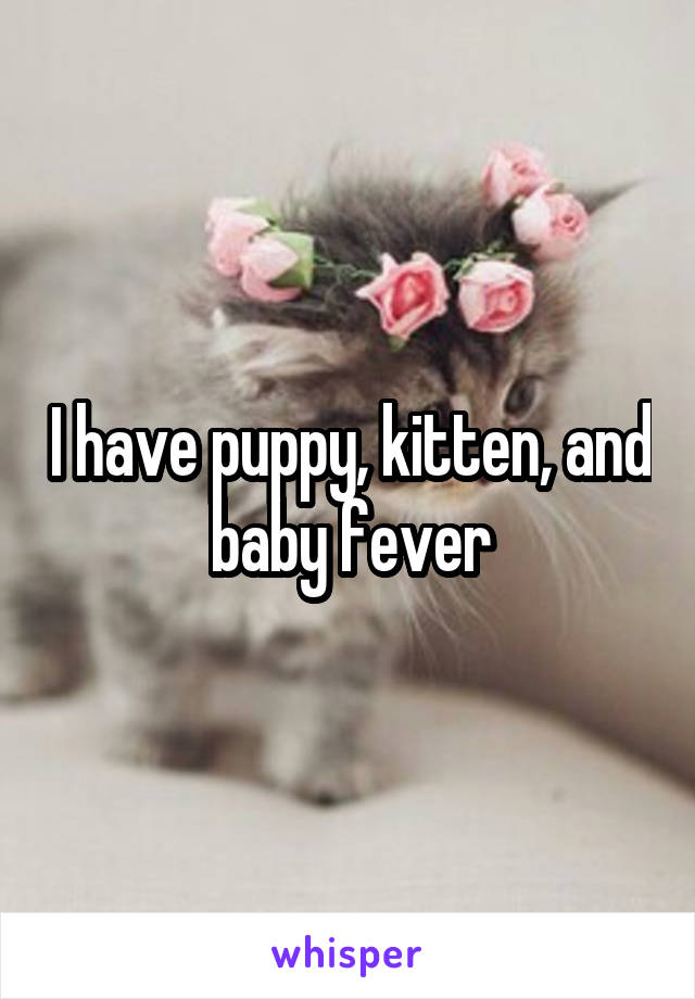 I have puppy, kitten, and baby fever