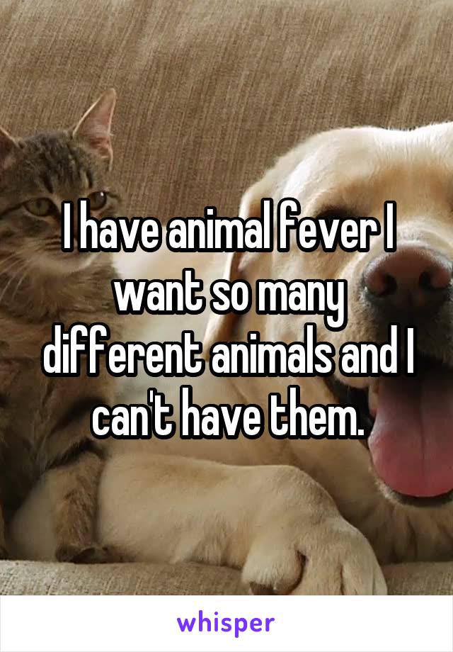 I have animal fever I want so many different animals and I can't have them.
