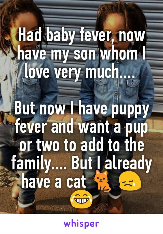 Had baby fever, now have my son whom I love very much.... 

But now I have puppy fever and want a pup or two to add to the family.... But I already have a cat 🐈 😢😂