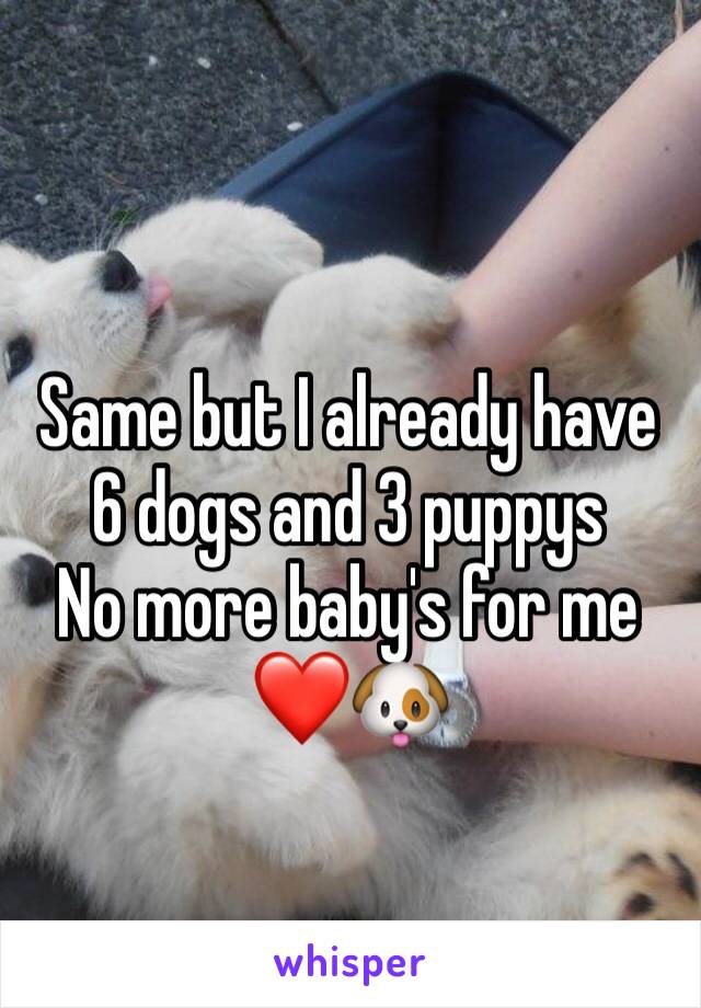 Same but I already have 6 dogs and 3 puppys
No more baby's for me ❤️🐶
