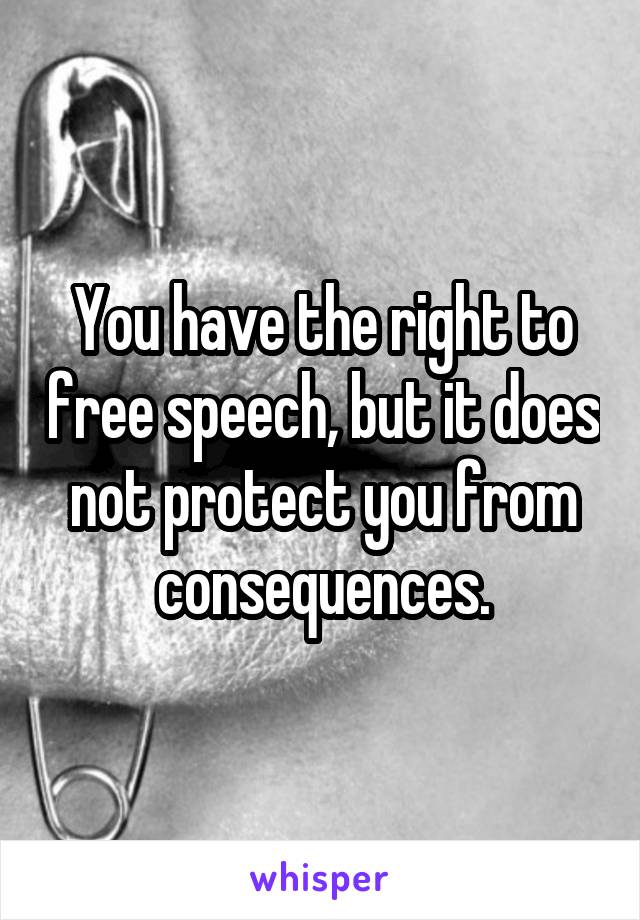 You have the right to free speech, but it does not protect you from consequences.