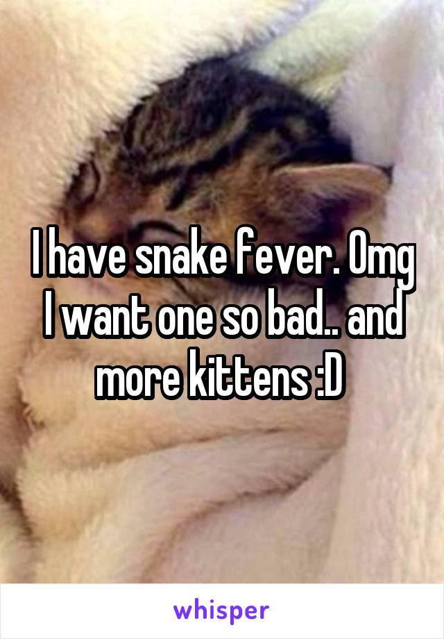 I have snake fever. Omg I want one so bad.. and more kittens :D 