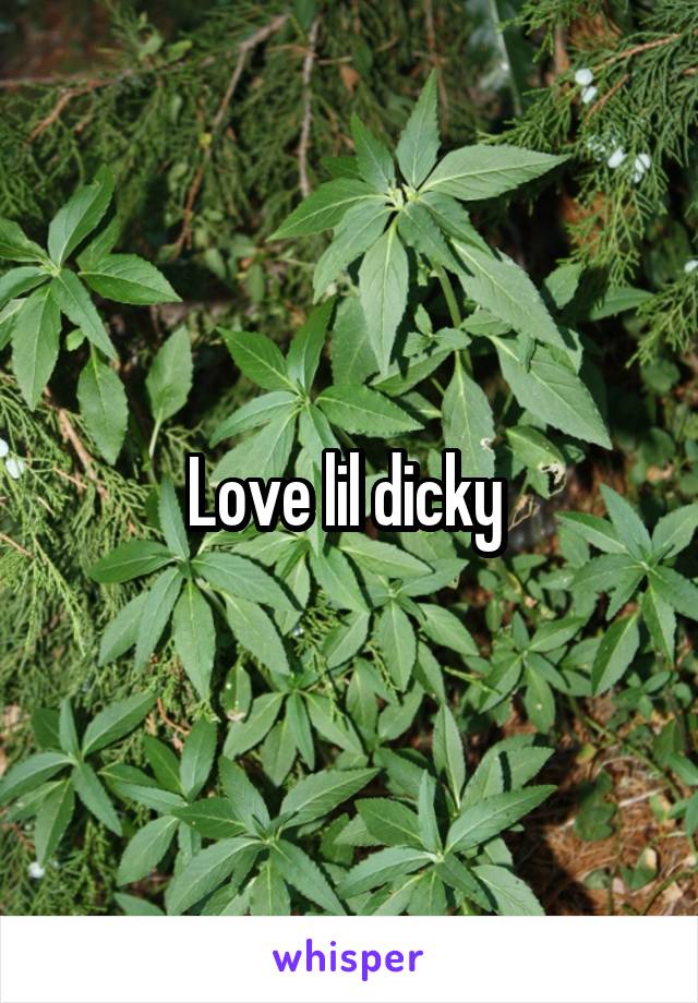 Love lil dicky 