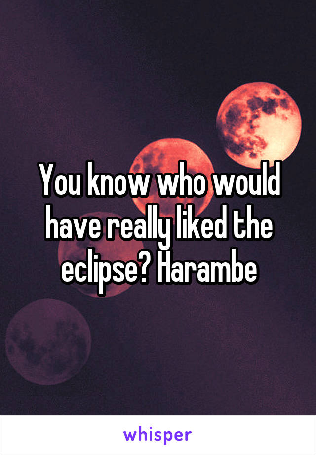 You know who would have really liked the eclipse? Harambe