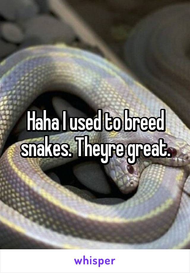 Haha I used to breed snakes. Theyre great.