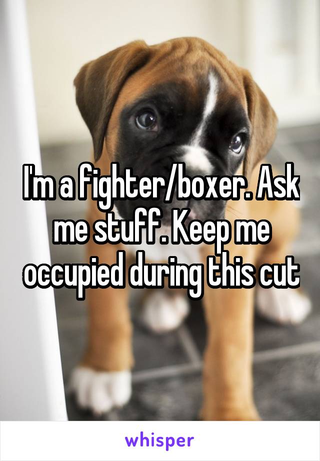 I'm a fighter/boxer. Ask me stuff. Keep me occupied during this cut