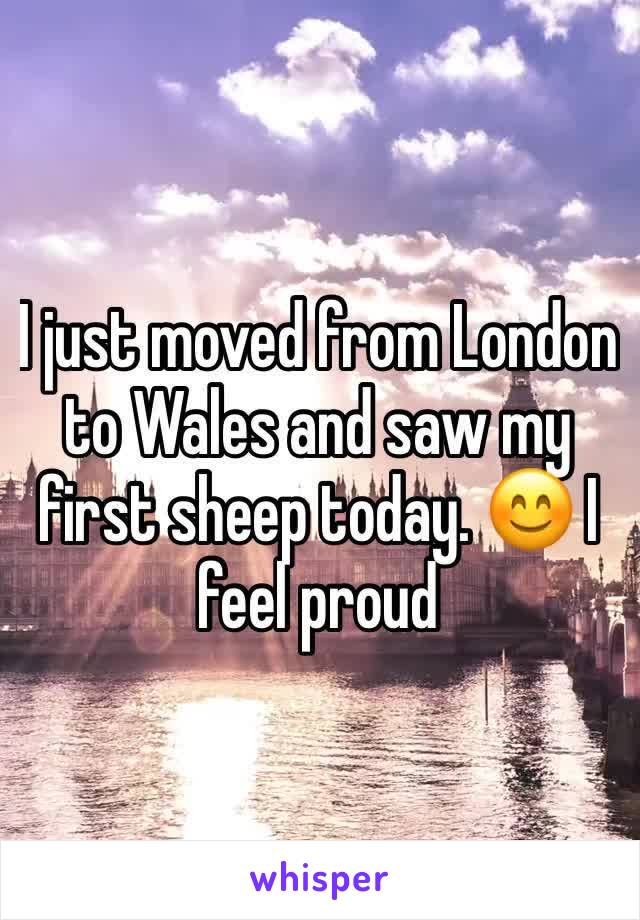 I just moved from London to Wales and saw my first sheep today. 😊 I feel proud