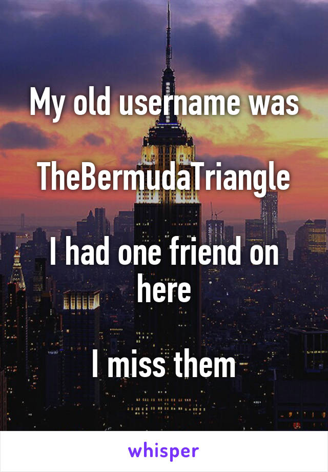 My old username was

TheBermudaTriangle

I had one friend on here

I miss them