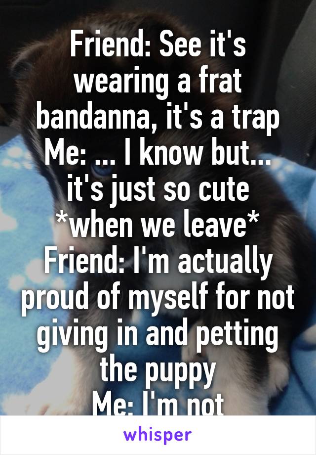 Friend: See it's wearing a frat bandanna, it's a trap
Me: ... I know but... it's just so cute
*when we leave*
Friend: I'm actually proud of myself for not giving in and petting the puppy
Me: I'm not