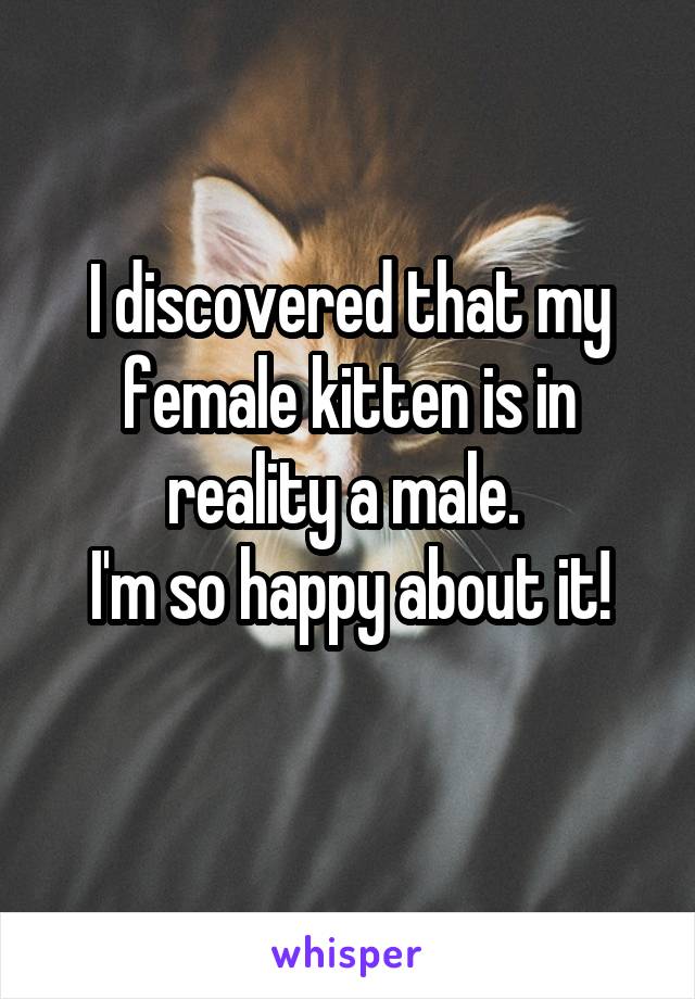 I discovered that my female kitten is in reality a male. 
I'm so happy about it!
