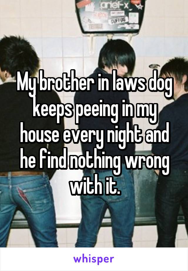 My brother in laws dog keeps peeing in my house every night and he find nothing wrong with it.