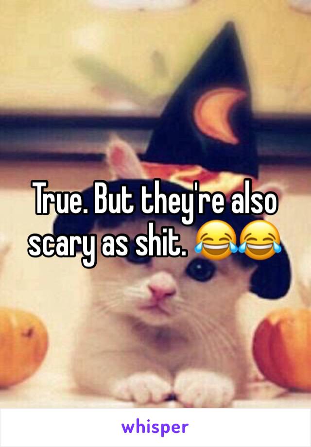 True. But they're also scary as shit. 😂😂