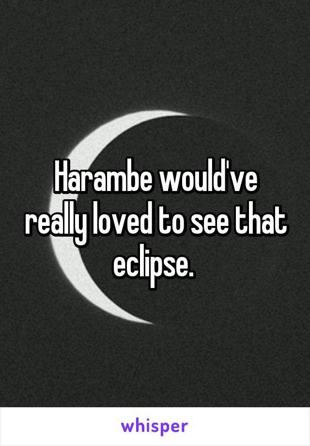 Harambe would've really loved to see that eclipse. 