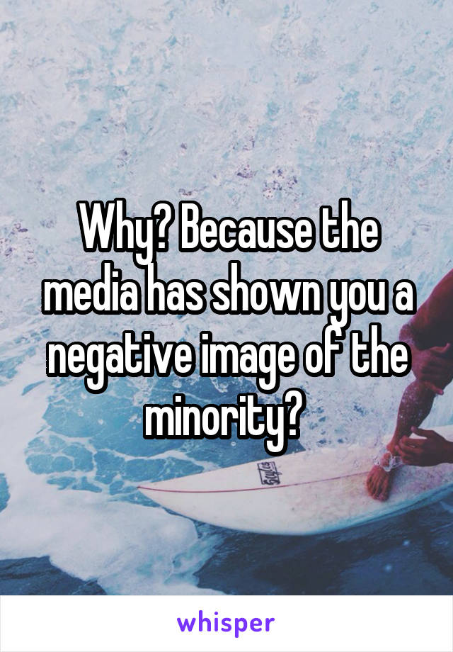 Why? Because the media has shown you a negative image of the minority? 